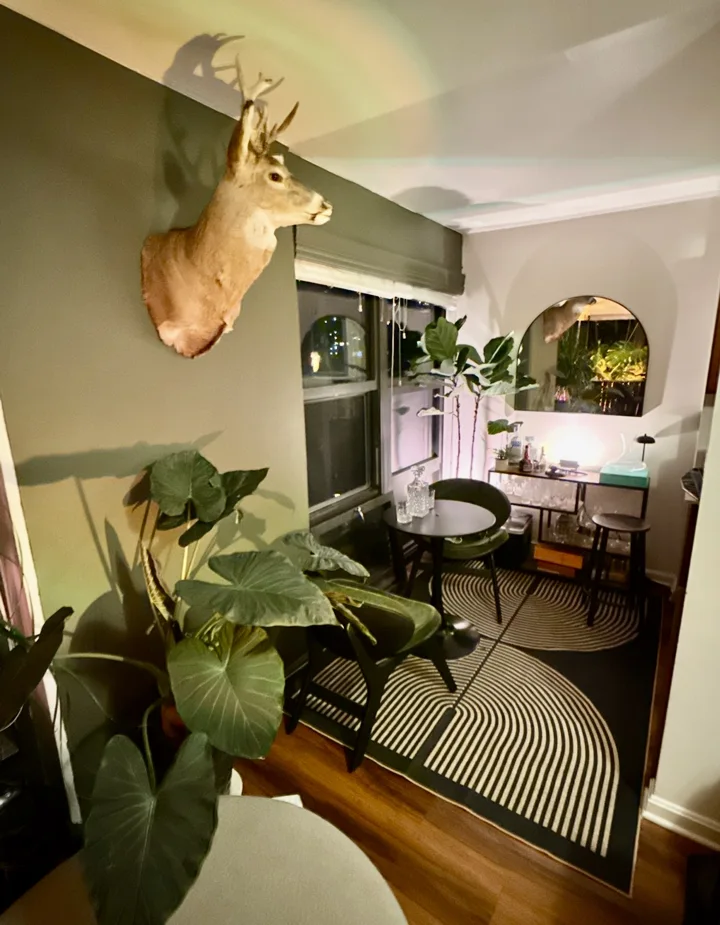 Compact bar and seating area with an arched mirror, plants, and patterned rug