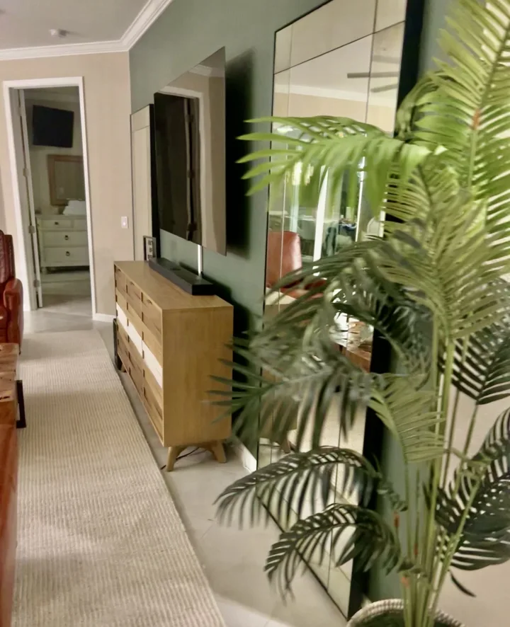 Living room detail with a wood media console, mirror, and greenery